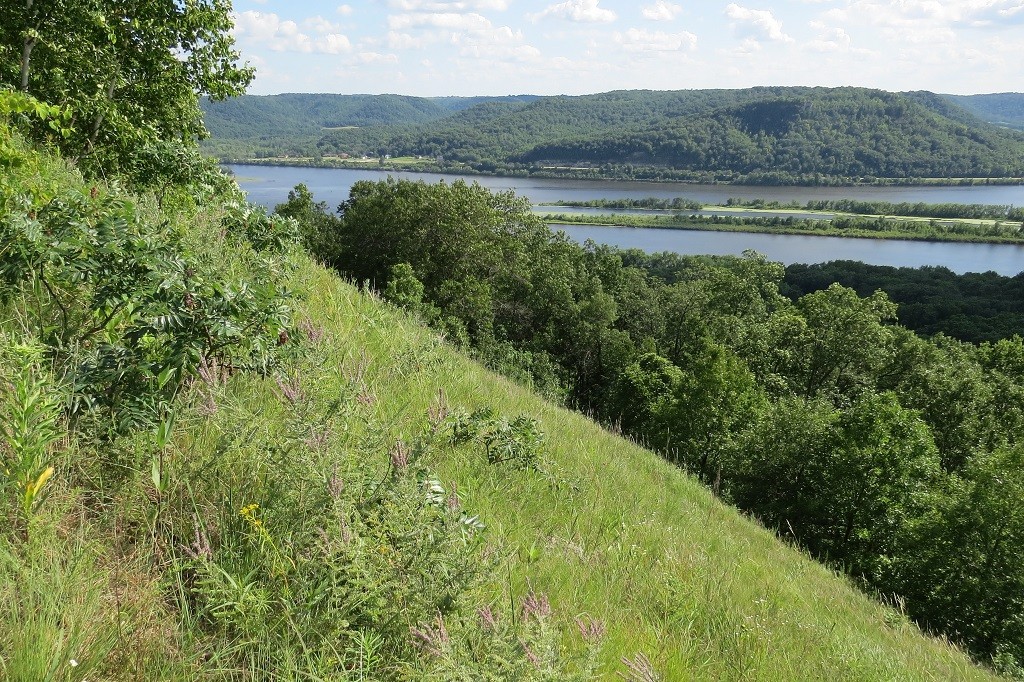 Vista in Perrot State Park